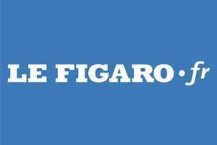 7e7a68ff 1d95 4a81 962e 325c52a5b6e0 l