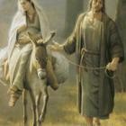 773afed3 1eaf 4ef3 a449 0bc92dfec7e8 s