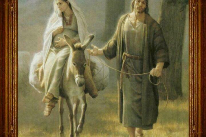 78f36361 d9eb 4510 b98d 7ceb3db89499 l