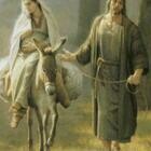 78f36361 d9eb 4510 b98d 7ceb3db89499 s